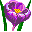 flower icon 